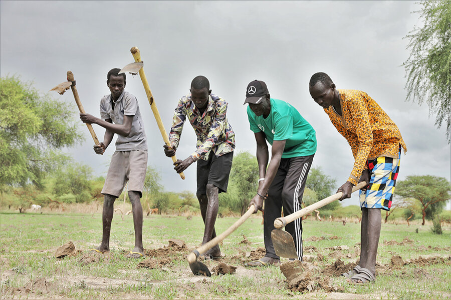 South Sudan: Seeds Replace Bullets As Peace Fund Tackles Hunger And ...